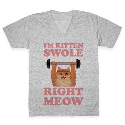 I'm Kitten Swole Right Meow V-Neck Tee Shirt