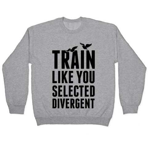 Train Like You Selected Divergent Pullover